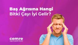 Baş Ağrısına Hangi Bitki Çayı İyi Gelir?