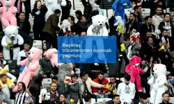 Beşiktaş tribünlerinden oyuncak yağmuru