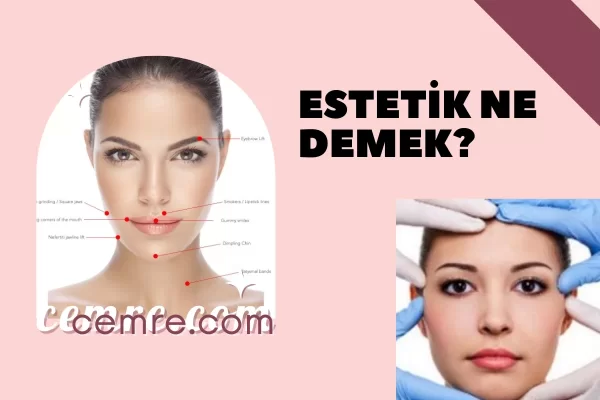 Estetik Ne Demek?