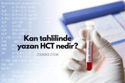 Kan tahlilinde yazan HCT nedir? HCT aralığı kaç olmalı?