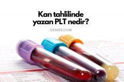 Kan tahlilinde yazan PLT nedir? PLT aralığı kaç olmalı?