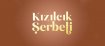 Kızılcık Şerbeti Kitap Özeti, Konusu ve Sonu