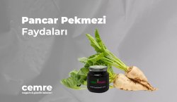 Pancar Pekmezi Faydaları