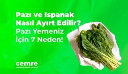 Pazı ve Ispanak Nasıl Ayırt Edilir? Pazı Yemeniz İçin 7 Neden!