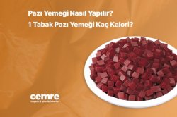 Pazı Yemeği Nasıl Yapılır? 1 Tabak Pazı Yemeği Kaç Kalori?