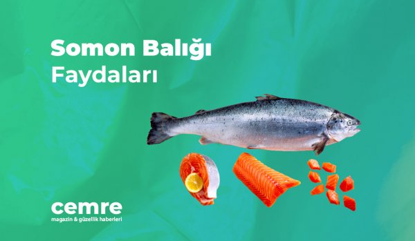 Somon Balığı Faydaları