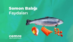 Somon Balığı Faydaları