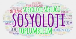 Sosyoloji Nedir?