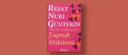 Yaprak Dökümü Kitap Özeti, Olay Örgüsü ve Bakış Açısı