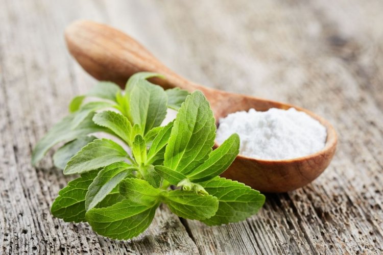 stevia ekstraktı nedir